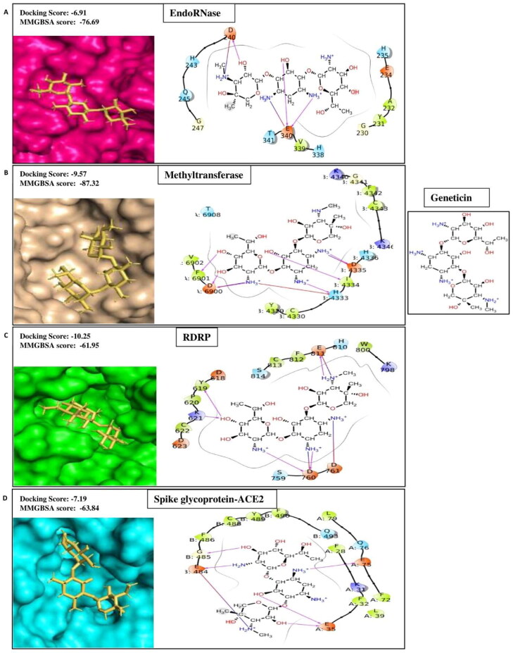 Figure 1E.