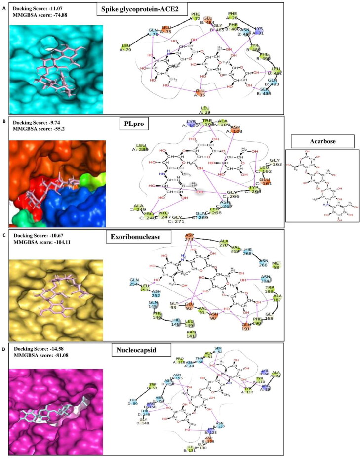 Figure 1F.