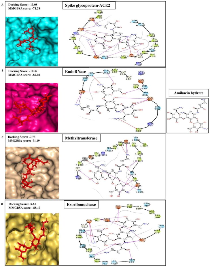 Figure 1D.