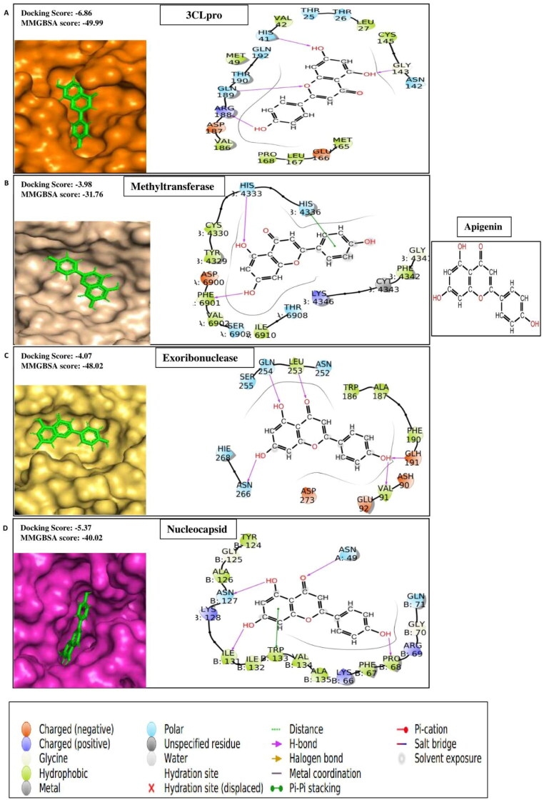 Figure 1G.