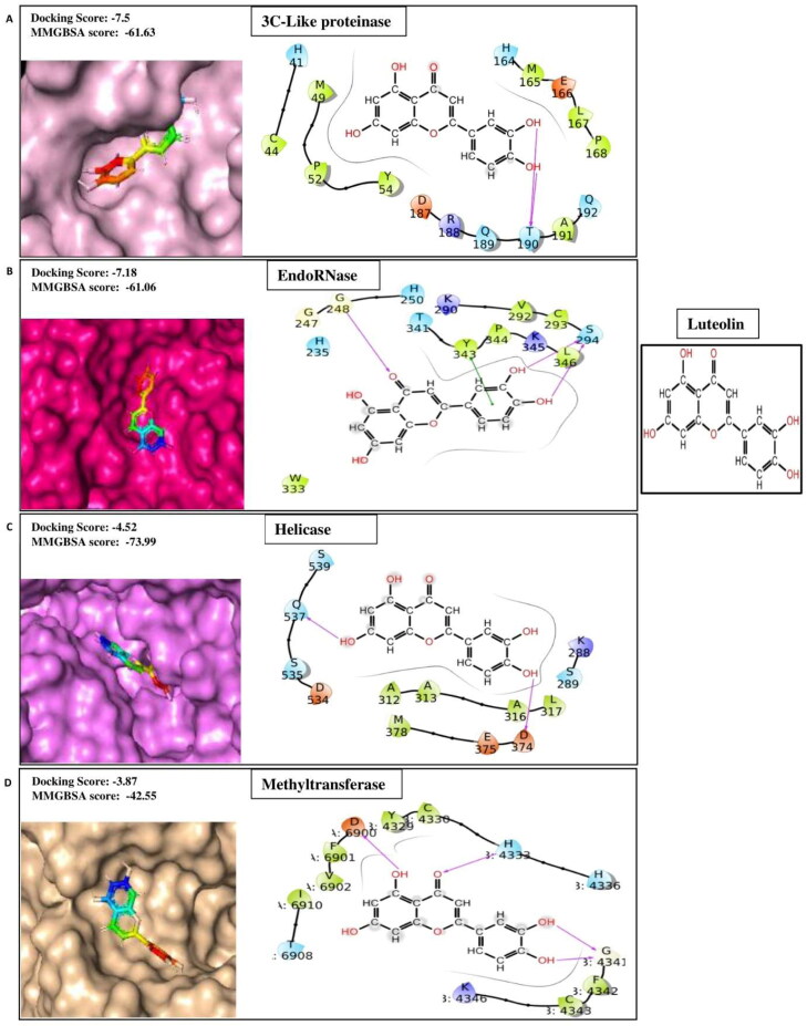 Figure 1C.