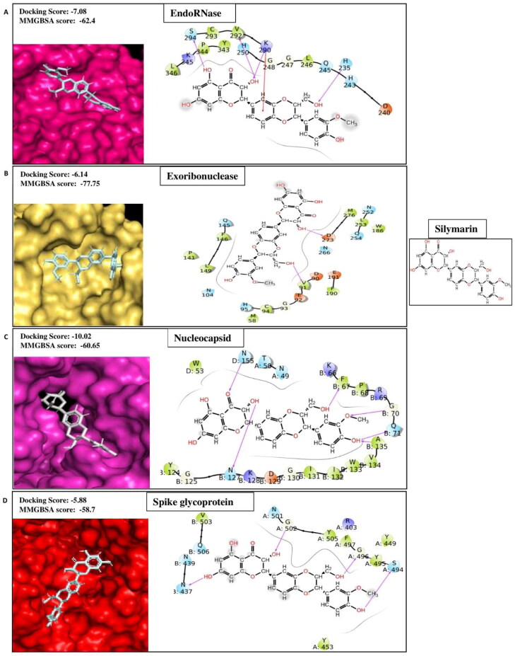 Figure 1B.