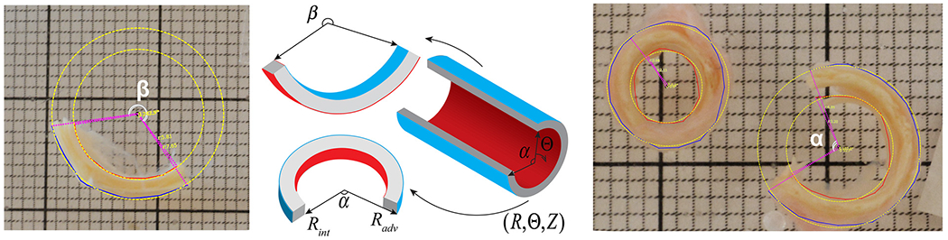 Fig. 9.