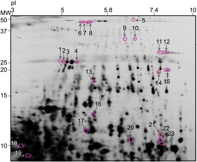 Fig. 3.