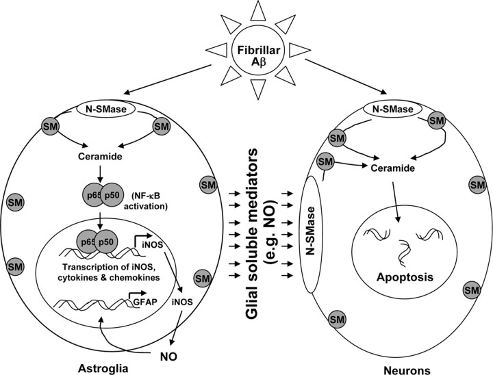 Figure 10.