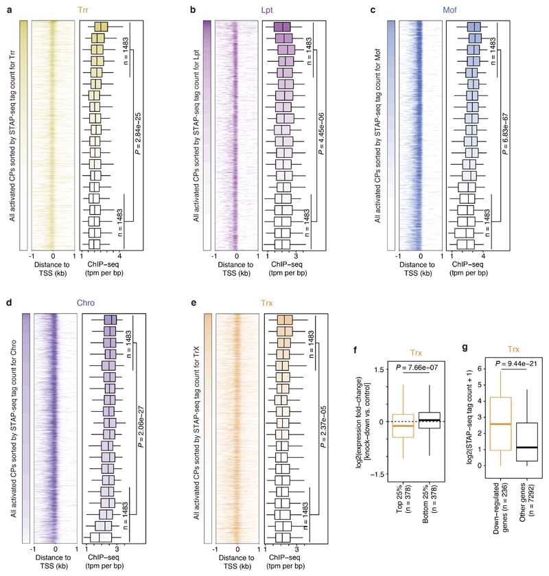 Extended Data Figure 5 |