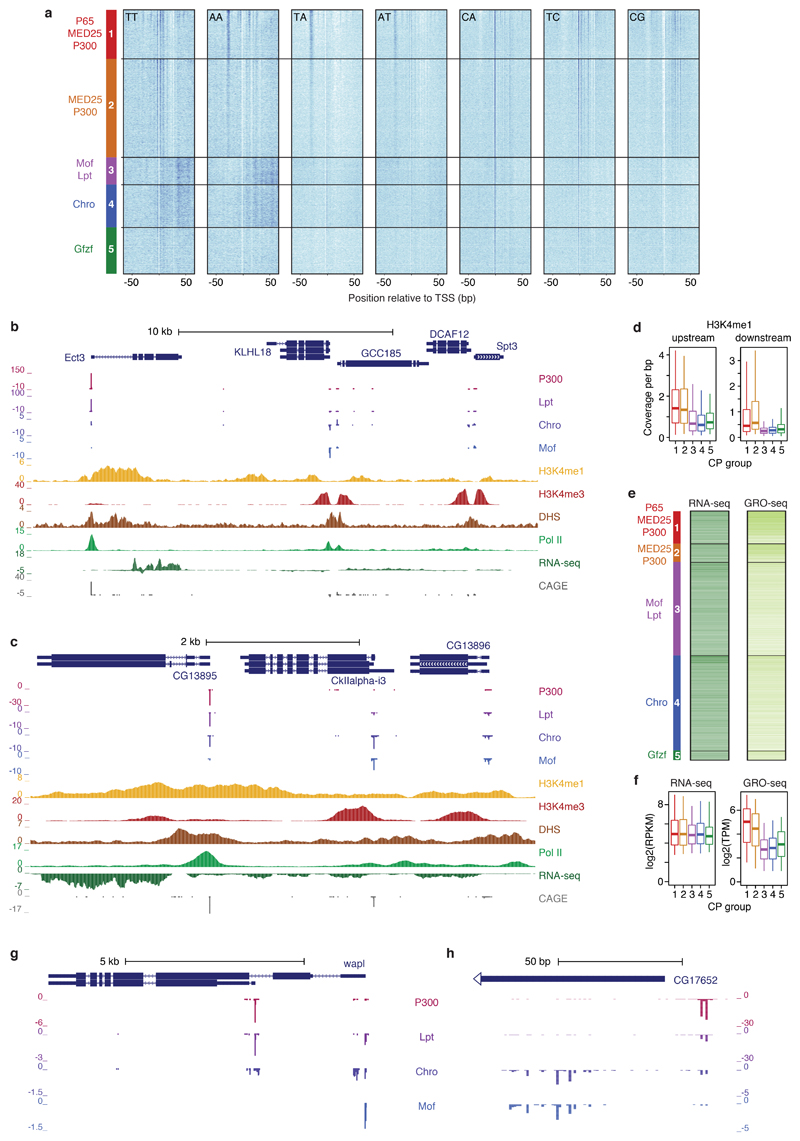 Extended Data Figure 9 |