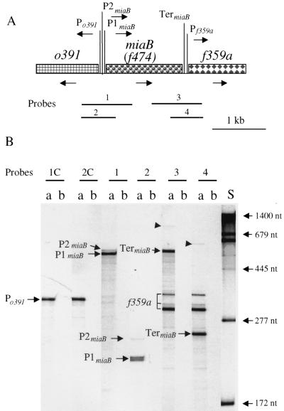 FIG. 4