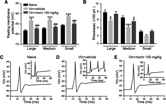 Fig. 4