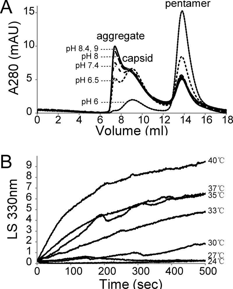 Fig 6