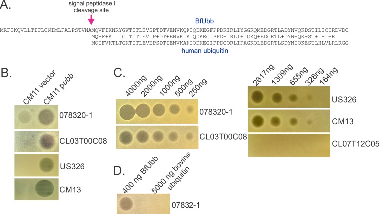 FIG 3 