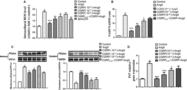 FIGURE 1