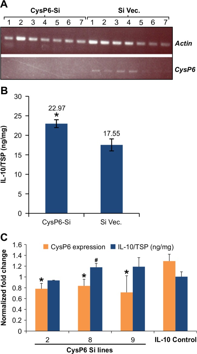 Fig 6