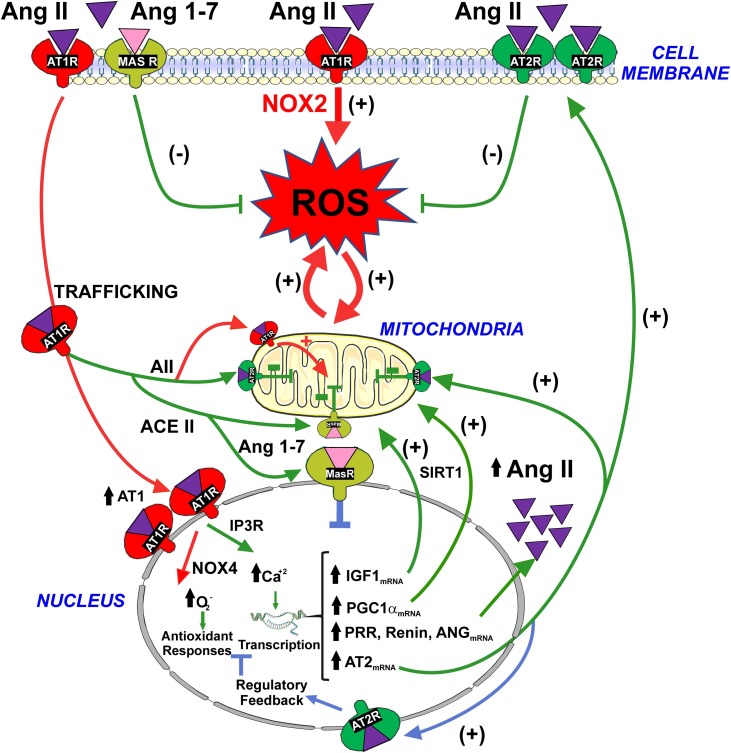 Fig. 2