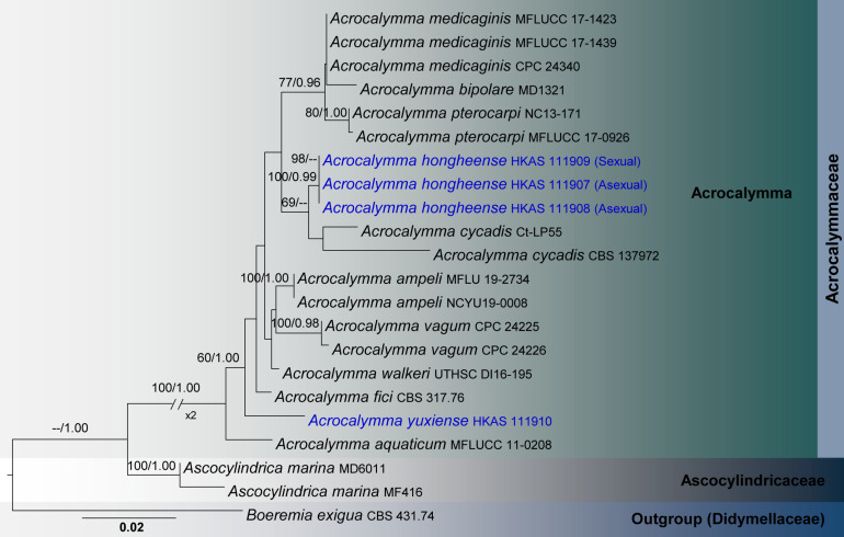 FIGURE 2