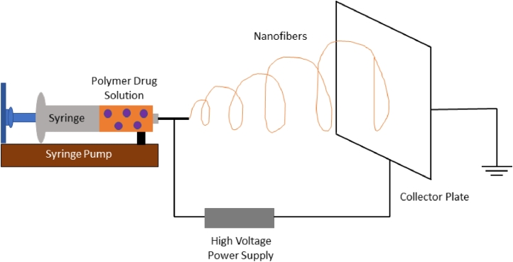 Fig 1: