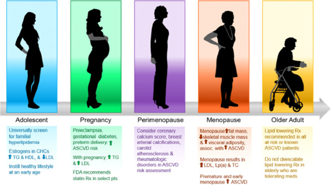 Image, graphical abstract