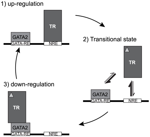 Figure 7