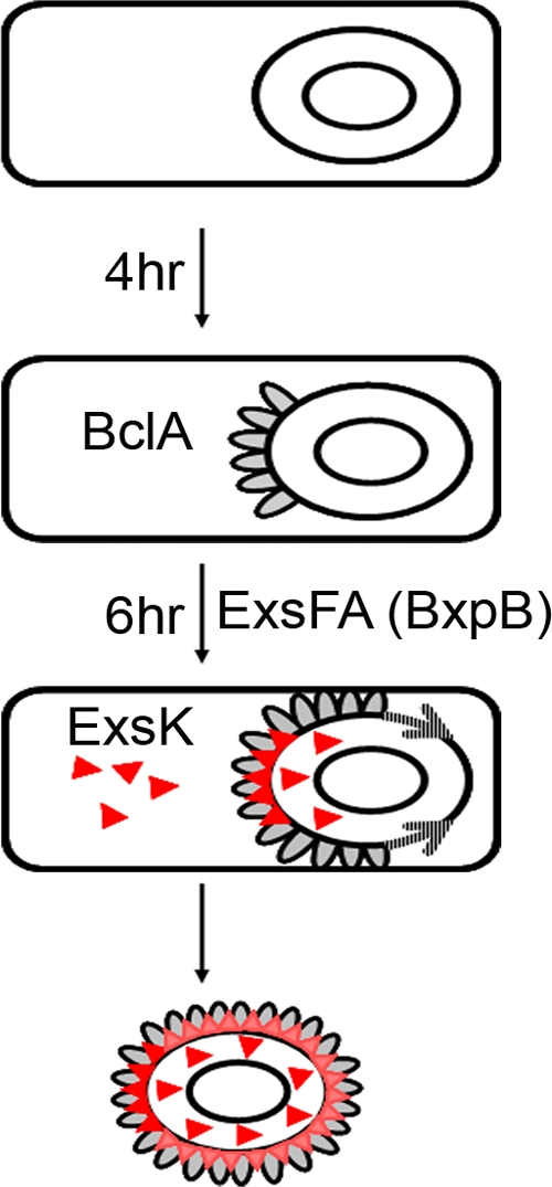 FIG. 8.