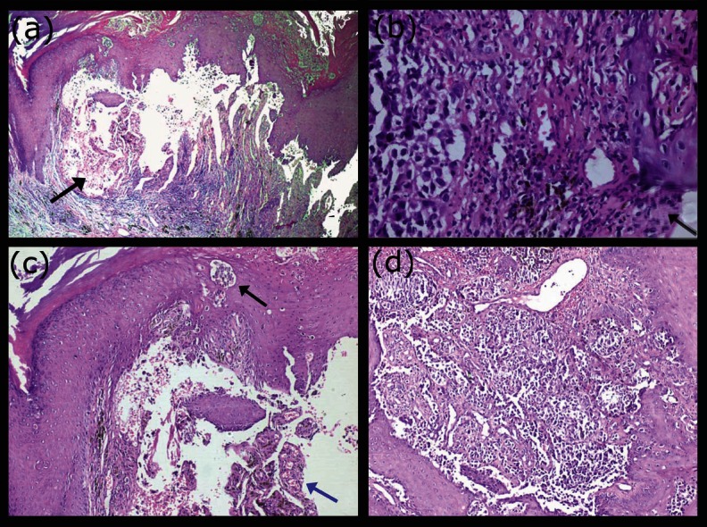 Figure 3: