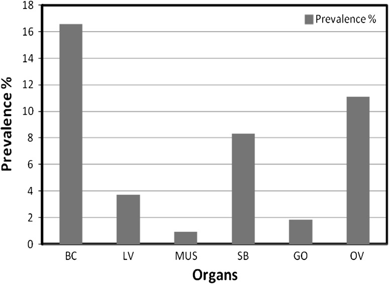 Fig. 2