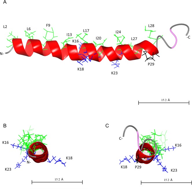 Fig 7