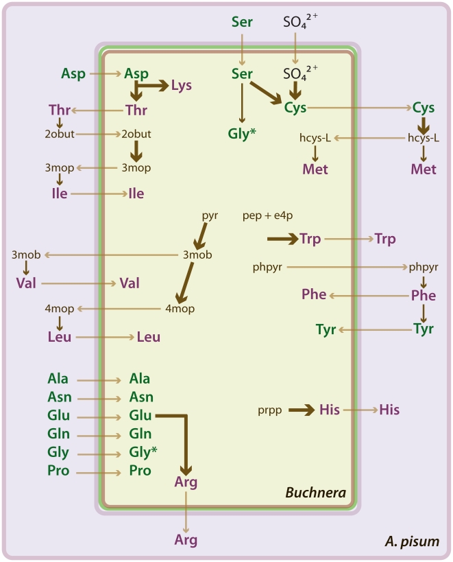 Figure 9