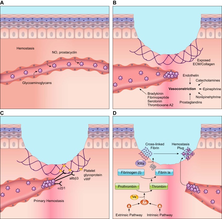 FIGURE 1.