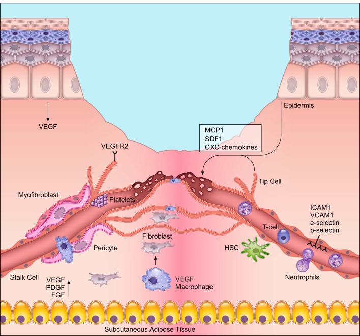 FIGURE 5.