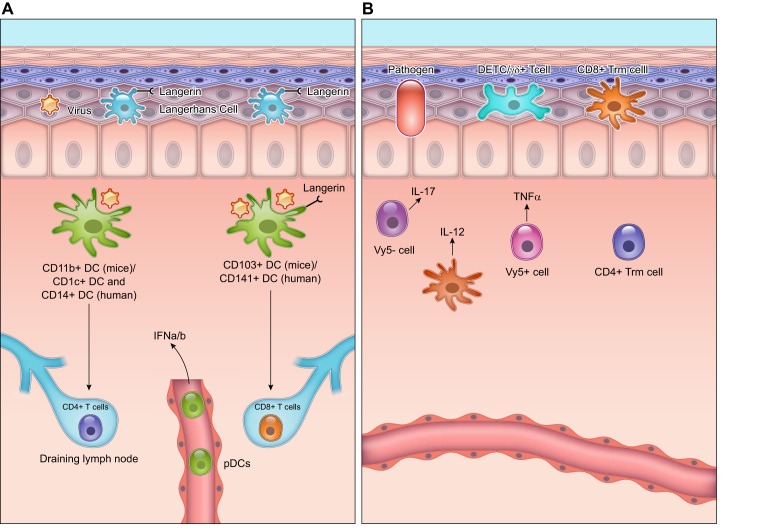 FIGURE 4.