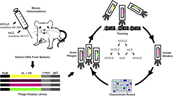 Figure 2