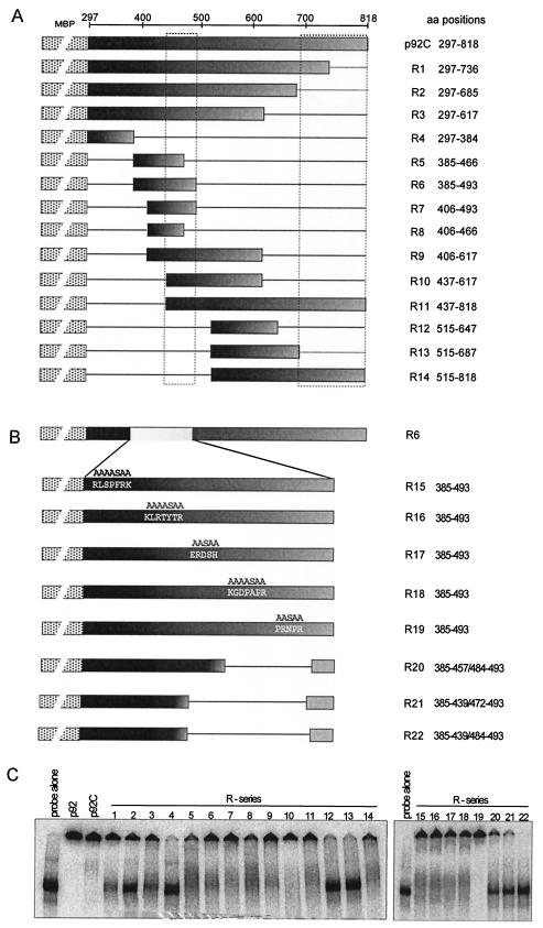 FIG. 8.