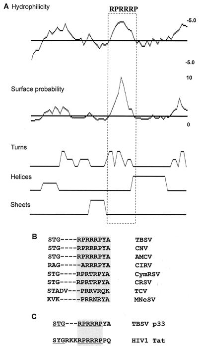 FIG. 9.