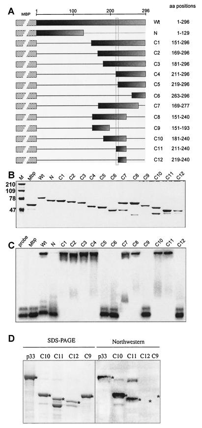 FIG.7.