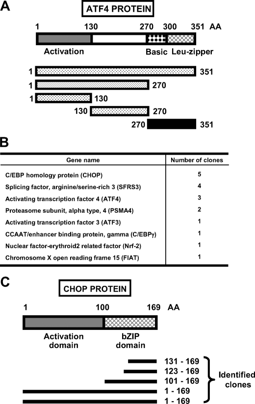 FIGURE 1.