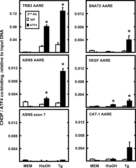 FIGURE 9.