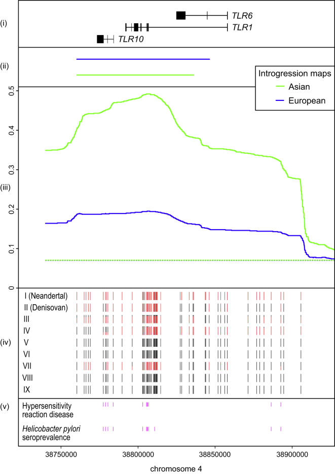 Figure 1