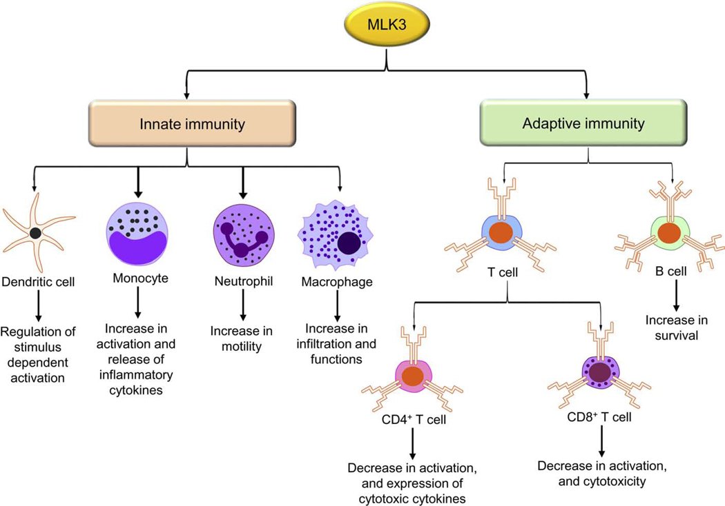 Figure 4: