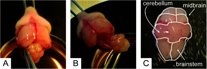 Figure 3.