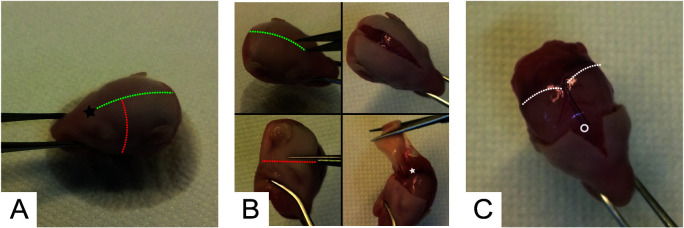 Figure 1.