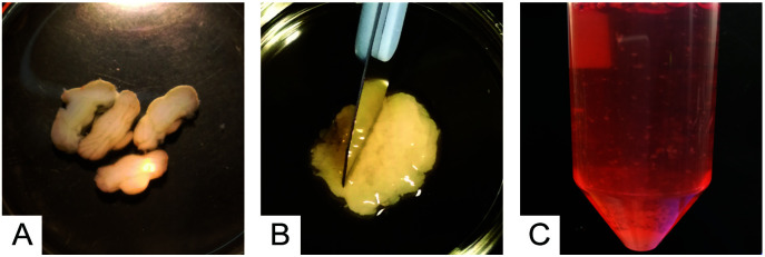 Figure 4.