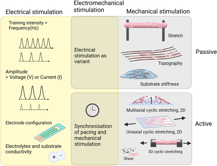 FIGURE 4