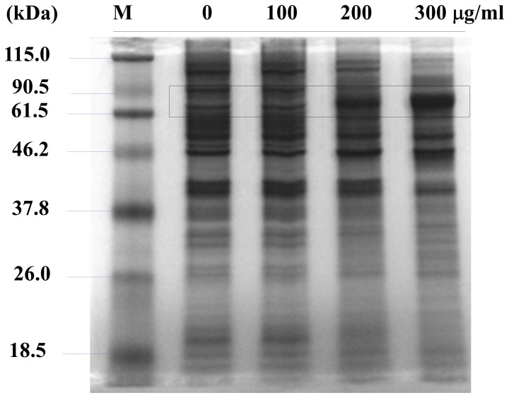 Figure 6