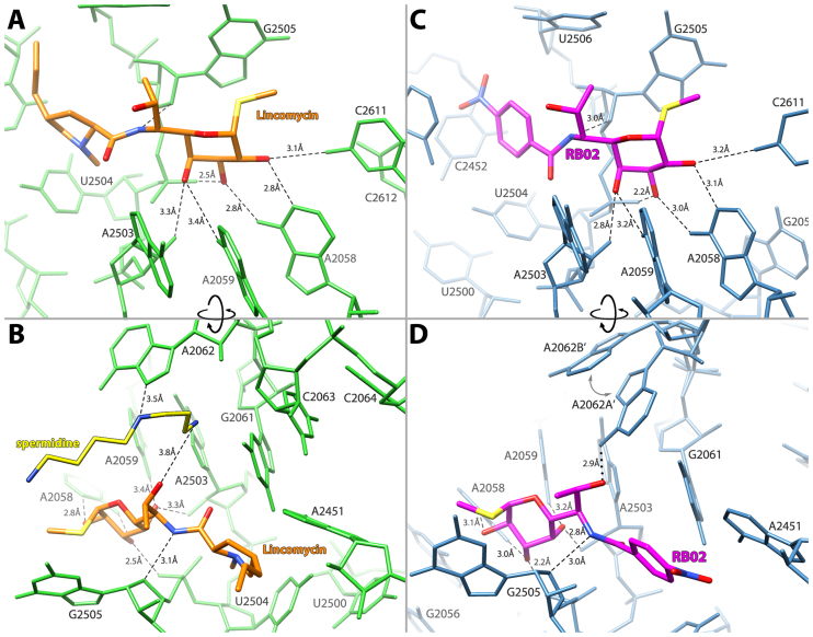 Figure 2.