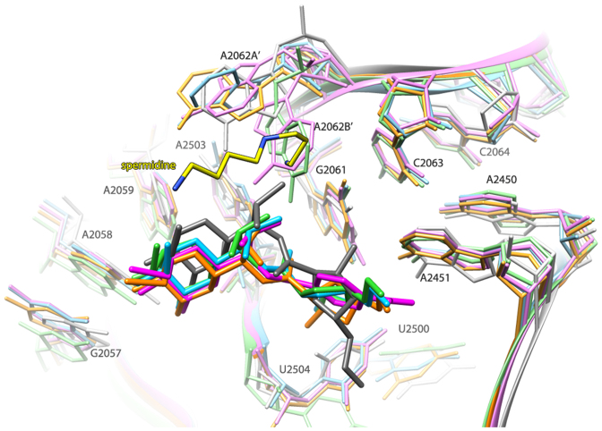 Figure 3.