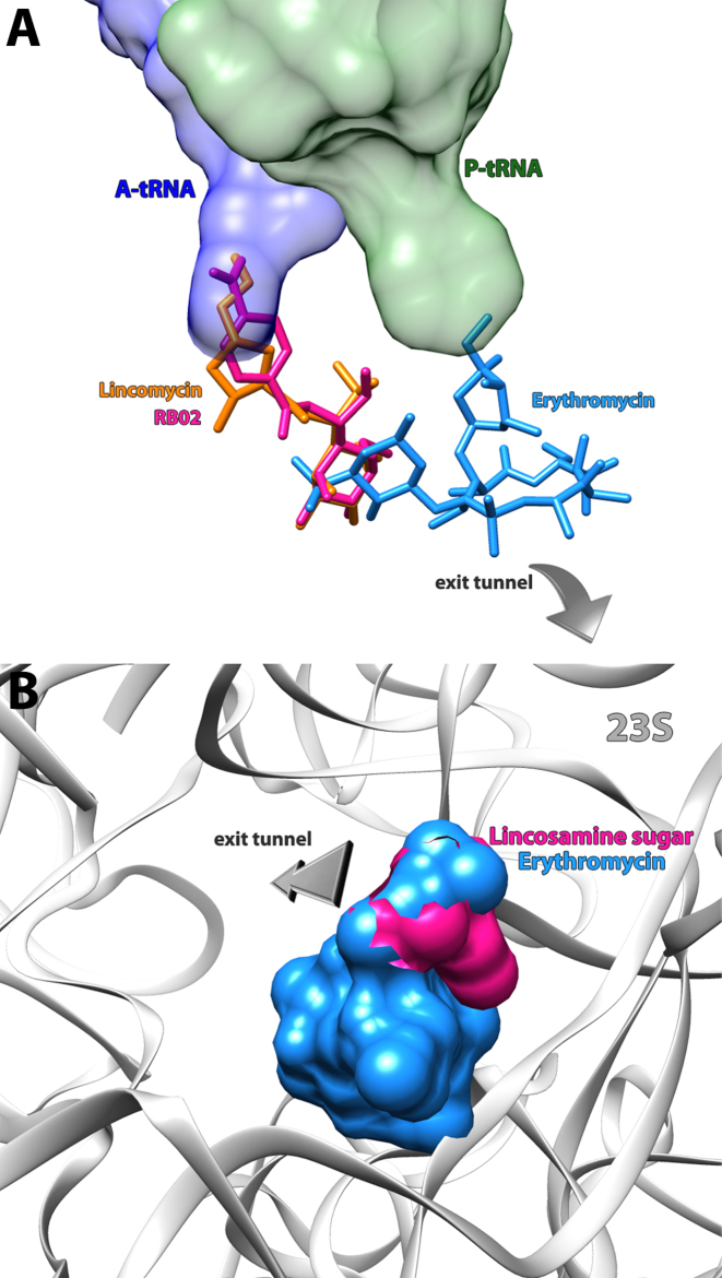 Figure 5.