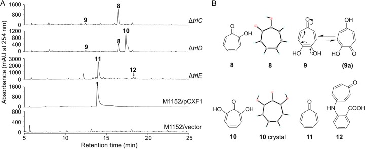 FIG 4