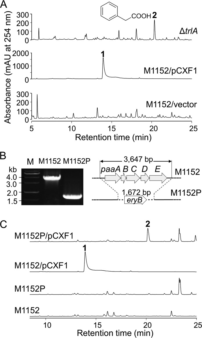 FIG 2