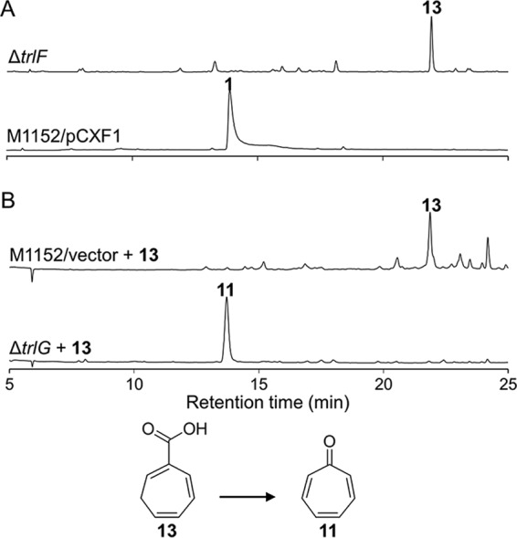 FIG 6