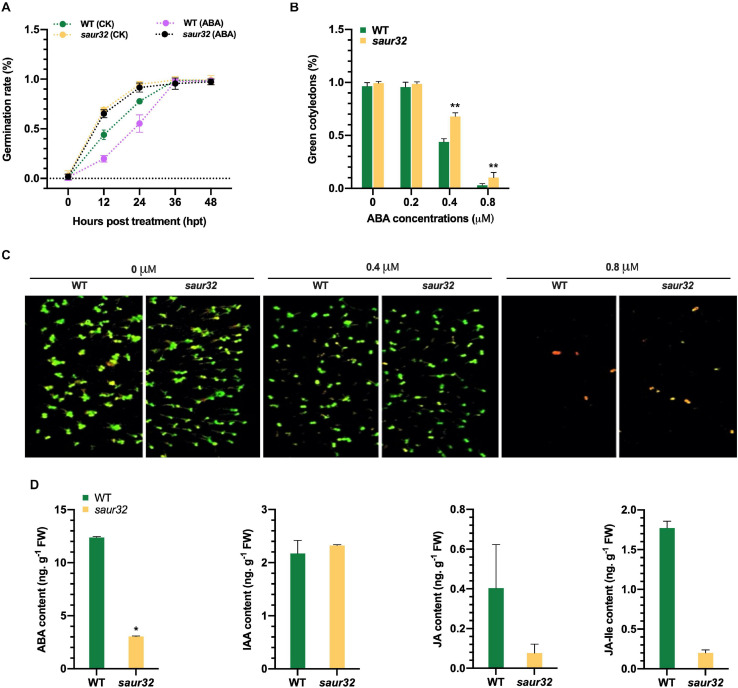 FIGURE 4